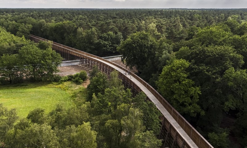 Fietsen door de heide